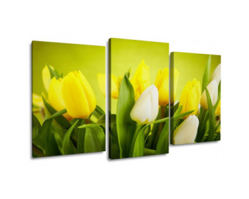Модульная картина "Белые тюльпаны в букете с желтыми" 100Х60 S293