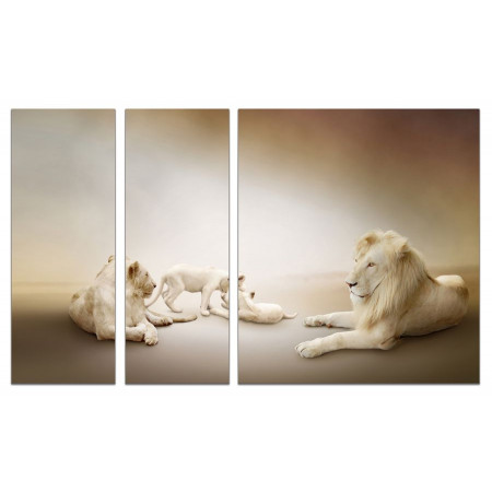 Модульная картина "Белые львы" из 3х частей 80х140 VJ727