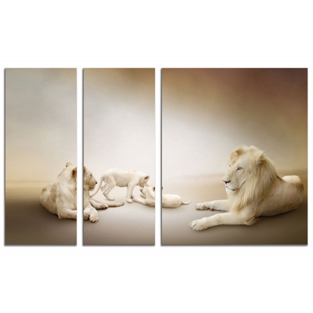 Модульная картина "Белые львы" из 3х частей 100х60 VS727