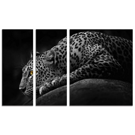 Модульная картина "Белый леопард" из 3х частей 100х60 VS354