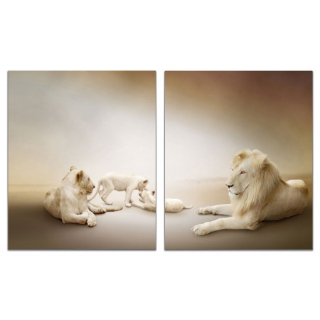 Модульная картина "Белые львы" из 2 х частей 60х100 GT727