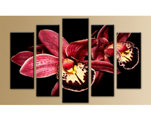 Модульная картина "Бордовая орхидея" 80х140 M556