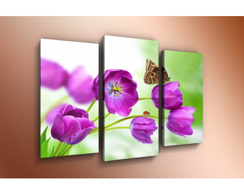 Модульная картина "Бабочка на фиолетовых тюльпанах" 60х80 ТР470