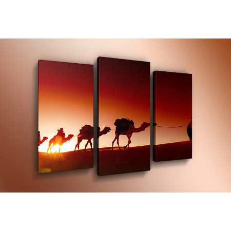Модульная картина "Верблюды на закате" 60х80 ТР415