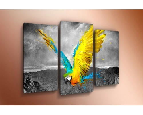 Модульная картина "Желтый попугай" 60х80 ТР1058