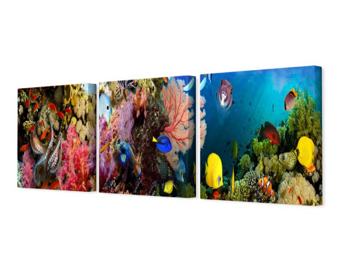 Модульная картина "Тропические рыбы" 35х110 N160
