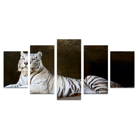 Модульная картина "Белый тигр" 110х50 К741