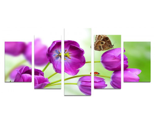 Модульная картина "Бабочка на фиолетовых тюльпанах" 110х50 К683