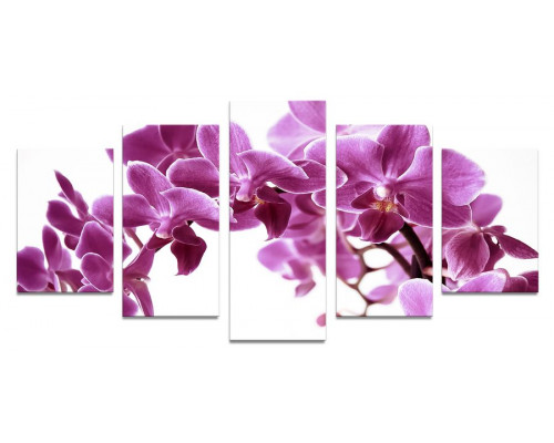 Модульная картина "Арка из орхидей" 110х50 К498