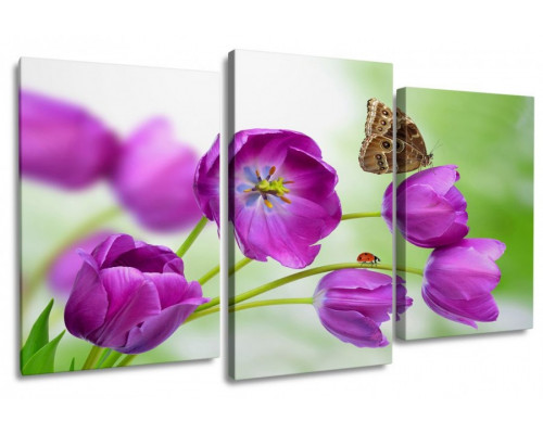 Модульная картина "Бабочка на фиолетовых тюльпанах" 100х60 S484