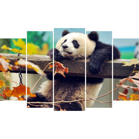 Модульная картина "Любопытная панда" 80х140 М1359