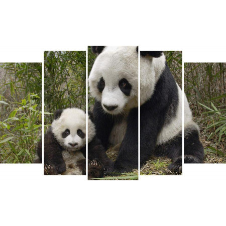 Модульная картина "Мама-панда" М1357