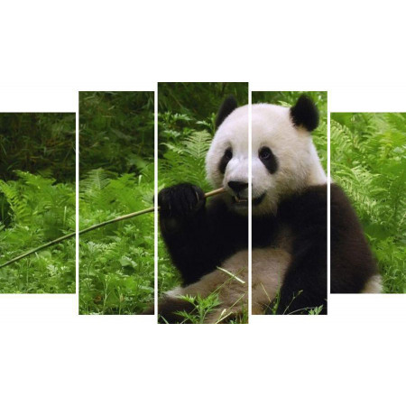 Модульная картина " Панда и бамбук" 80х140 М1354