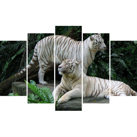 Модульная картина "Белые тигры" 80х140 М1350