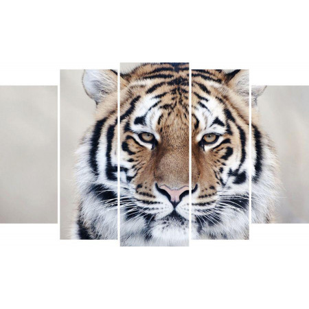 Модульная картина "Африканский тигр"  80х140 М1338
