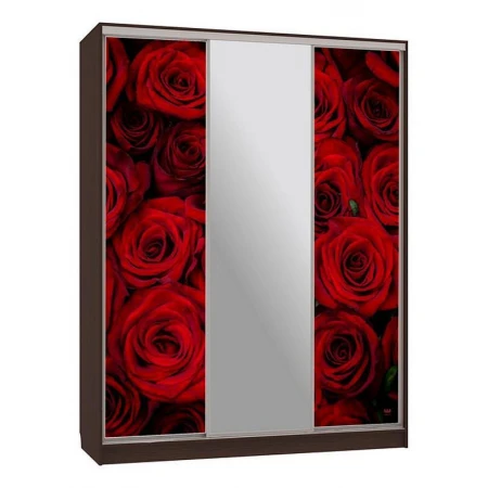 Шкаф-купе Бассо 10-600 89