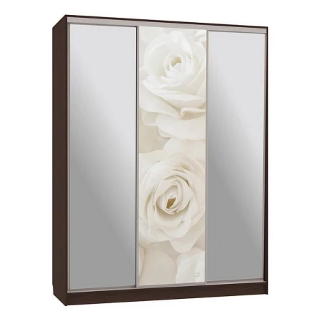 Шкаф-купе Бассо 9-600 розы