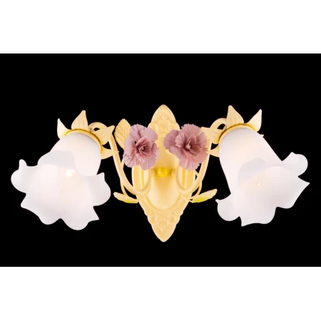 B1062/2W YELLOW (2) Бра NW 