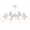 Потолочная люстра F-Promo Viator 2559-8P