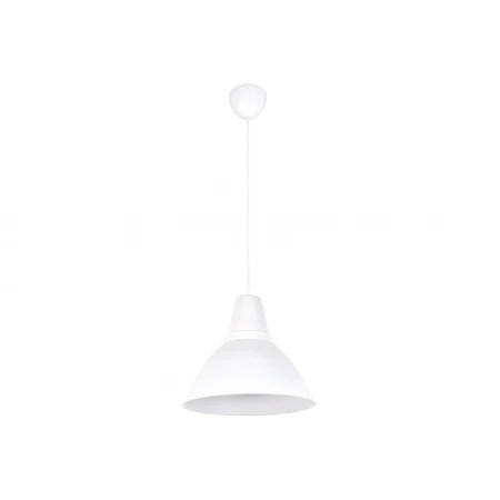 2521/1 WT - Подвесы