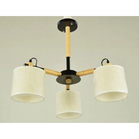 ФА-D2036A/3 BK (1) светильник потолочный [01083194] - Люстры еврокаркас