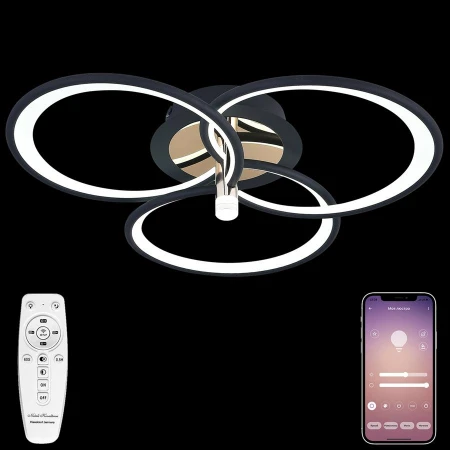 Люстра Natali Kovaltseva LED LAMPS 81362