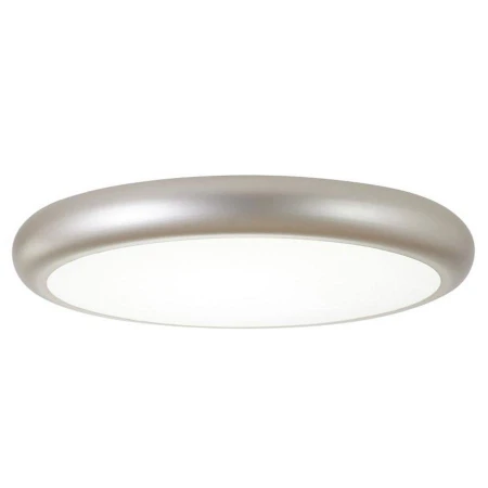 Светильник Favourite 2828-2PC Smiler