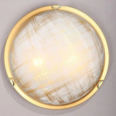 Настенно-потолочный светильник Vitaluce V6396/2A