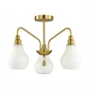 Потолочная люстра Lumion Eleonora 4562/3C