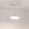 Подвесной светодиодный светильник Arlight Sp-Elegant-R300-17W Day4000 033919