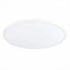 Настенно-потолочный светодиодный светильник ST Luce ST601.542.48