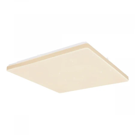 Потолочный светодиодный светильник Globo Ully 48025WSH