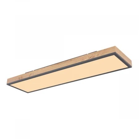 Потолочный светодиодный светильник Globo Doro 416080WD4