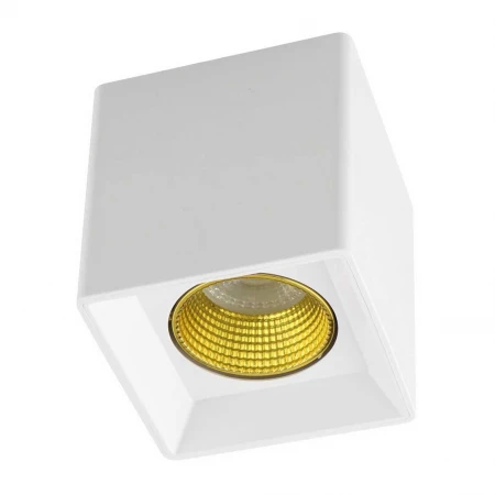 Потолочный светильник Denkirs DK3020WYE DK3080-WH+YE