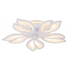 Потолочная светодиодная люстра Ambrella light Original FA543