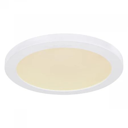 Настенно-потолочный светодиодный светильник Globo Lasse 12379-24W