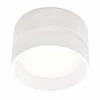 Потолочный светильник Ambrella light Techno Spot TN620