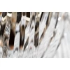 Подвесной светильник Garda Decor 20MD3279-6G