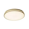 Потолочный светодиодный светильник Zortes Gabby ZRS.90610.50