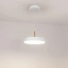 Подвесной светодиодный светильник Arlight SP-Elegant-R300-17W Day4000 033919(1)