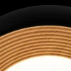 Потолочный светильник Loft IT Folk 10255/350 Black Потолочный светильник Loft IT Folk 10255/350 Black