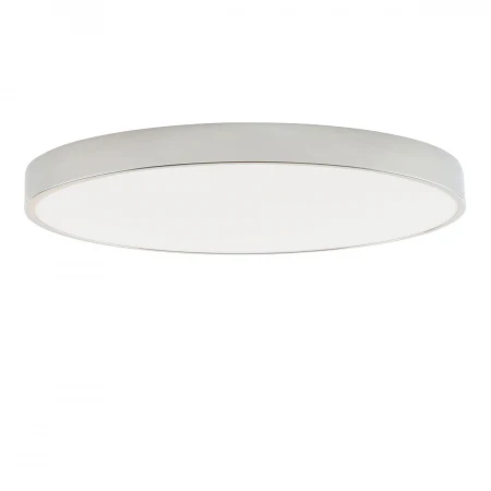 Потолочный светодиодный светильник Zortes Tortty ZRS.02565.96
