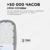 Консольный светодиодный светильник Apeyron 29-01