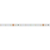 Светодиодная лента Arlight 4,8W/m 60LED/m 2835SMD теплый белый 50M 024585(2)
