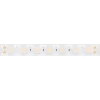 Светодиодная лента герметичная Arlight 21W/m 42LED/m 2835SMD холодный белый 5М FLT-PS-A42-23mm 24V 040917