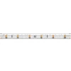 Светодиодная влагозащищенная лента Maytoni 4,8W/m 60LED/m 2835SMD теплый белый 5M 201012