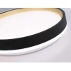 Потолочный светодиодный светильник Ambrella light Orbital Dance FZ604