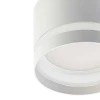Потолочный светильник Citilux Hardy CL002C10