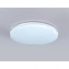 Потолочный светодиодный светильник Ambrella light Orbital Dance FZ417