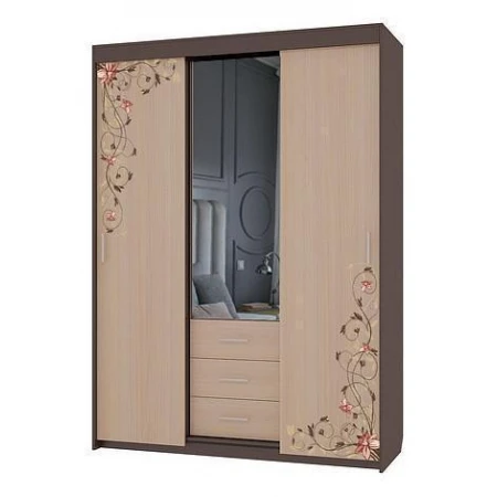Шкаф-купе Виктория-2